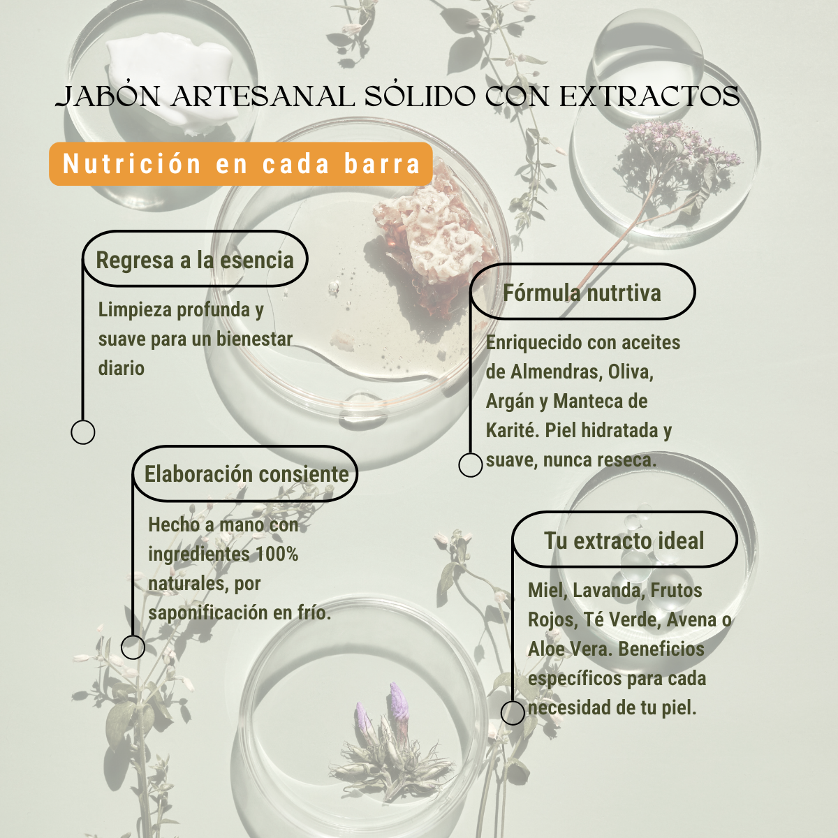 Jabón artesanal sólido con extractos (100 grs)