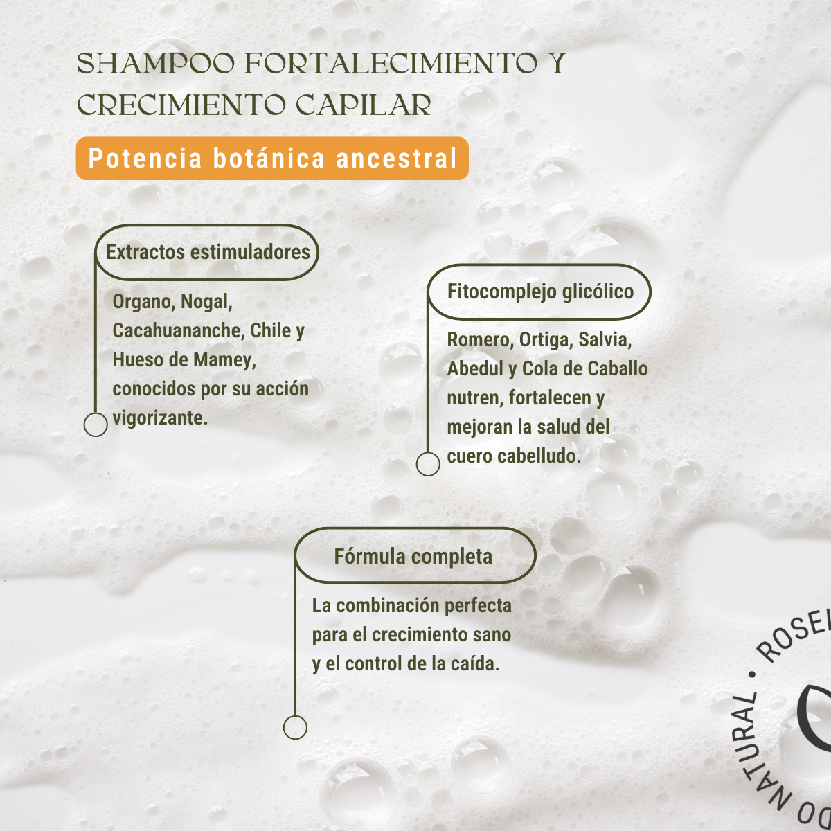 Shampoo Fortalecimiento y Crecimiento Capilar: Estimula la Raíz y Controla la Caída (240 ml)