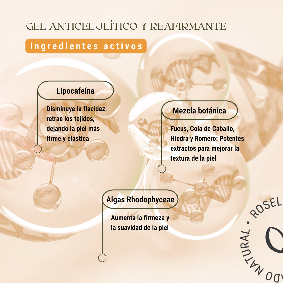 Gel anti celulítico reafirmante (230 grs)