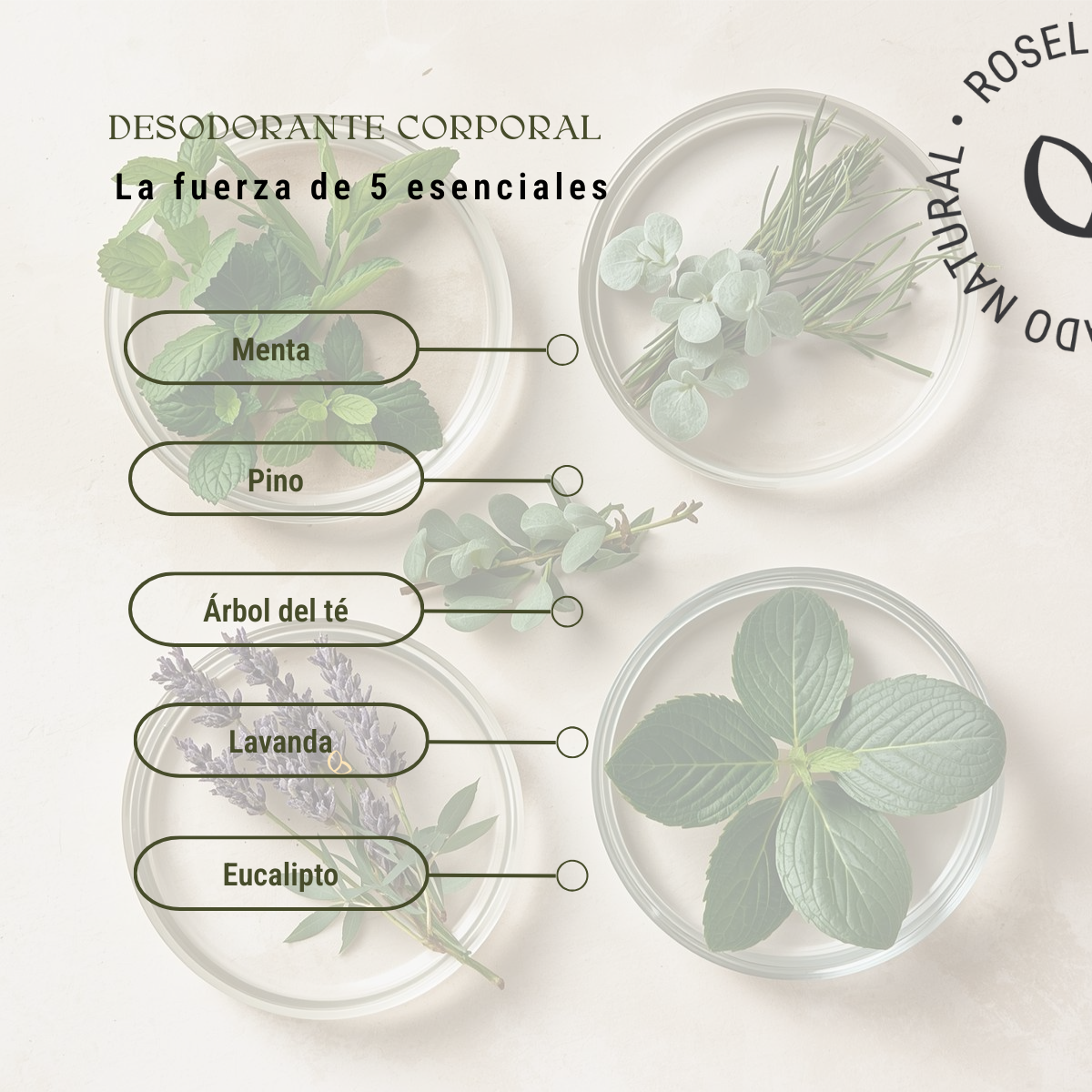 Desodorante corporal 5 aceites esenciales (100ml)