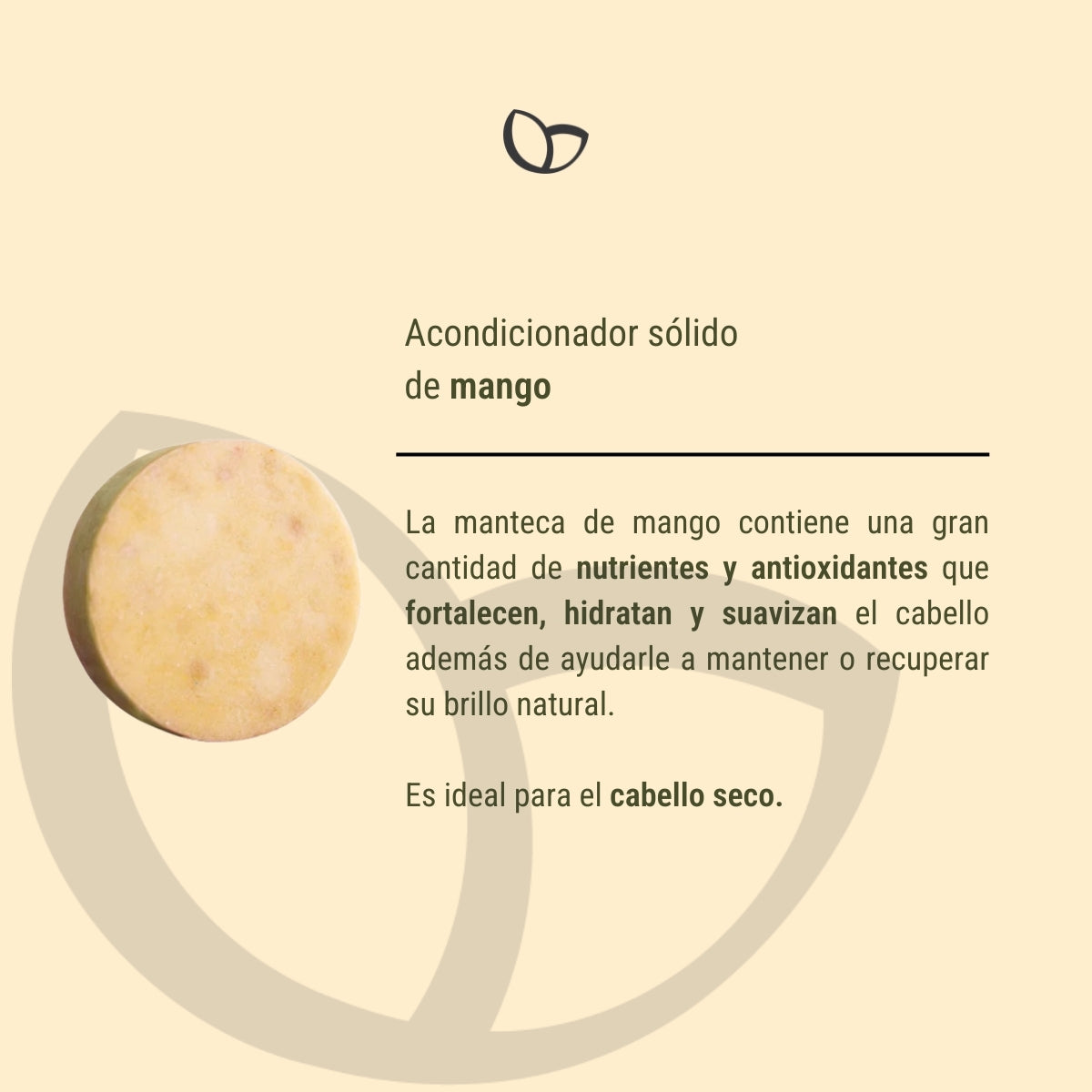 Acondicionador Sólido de Mango: Nutrición Intensa y Brillo Natural (70 grs)