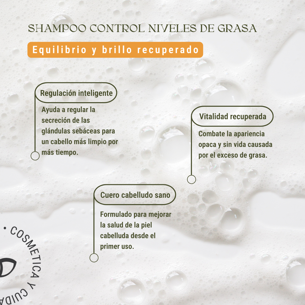 Shampoo Control de Grasa: Niacinamida y Extractos Reguladores (240 ml)