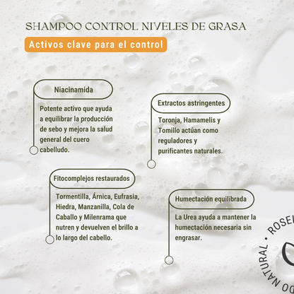 Shampoo Control de Grasa: Niacinamida y Extractos Reguladores (240 ml)