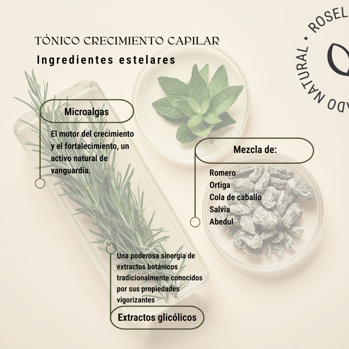 Tónico fortalecimiento y crecimiento capilar 1(00ml)