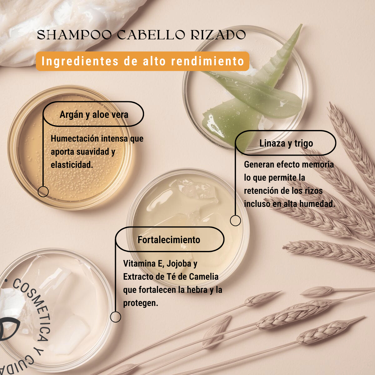 Shampoo para Cabello Rizado Low-Poo: Nutrición, Anti-Frizz y Cero Sulfatos (240 ml)