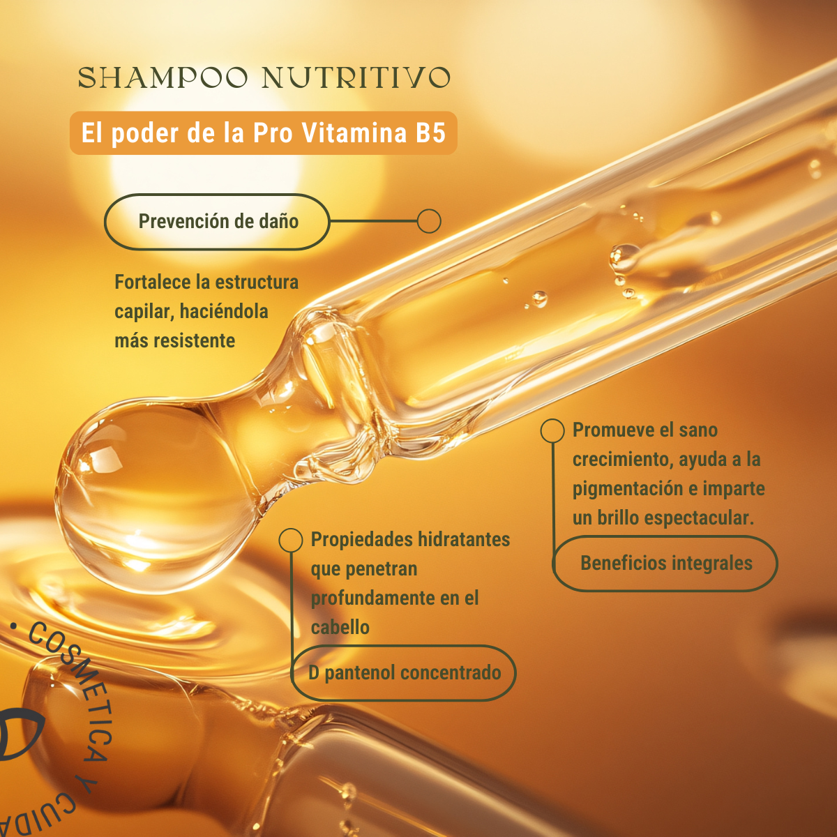 Shampoo Nutritivo Pro Vitamina B5: Ultra-Suave, Uso Diario y Cero Sulfatos (240 ml)
