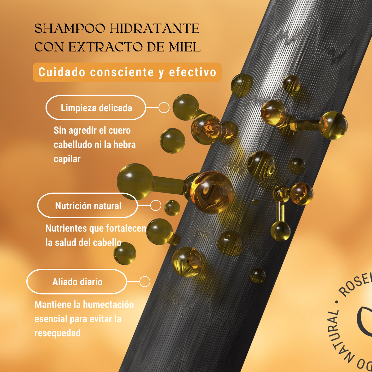 Shampoo Hidratante con Extracto de Miel: Suavidad, Brillo Familiar y Cero Sulfatos (240 ml)