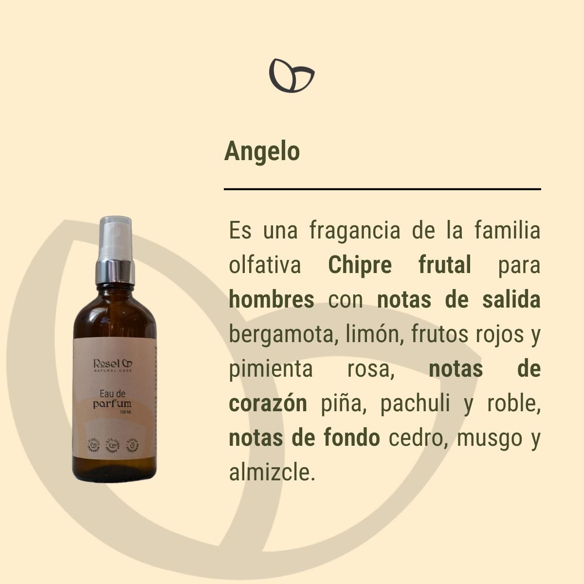 Discovery set 3 aguas de perfume 10ml cada una
