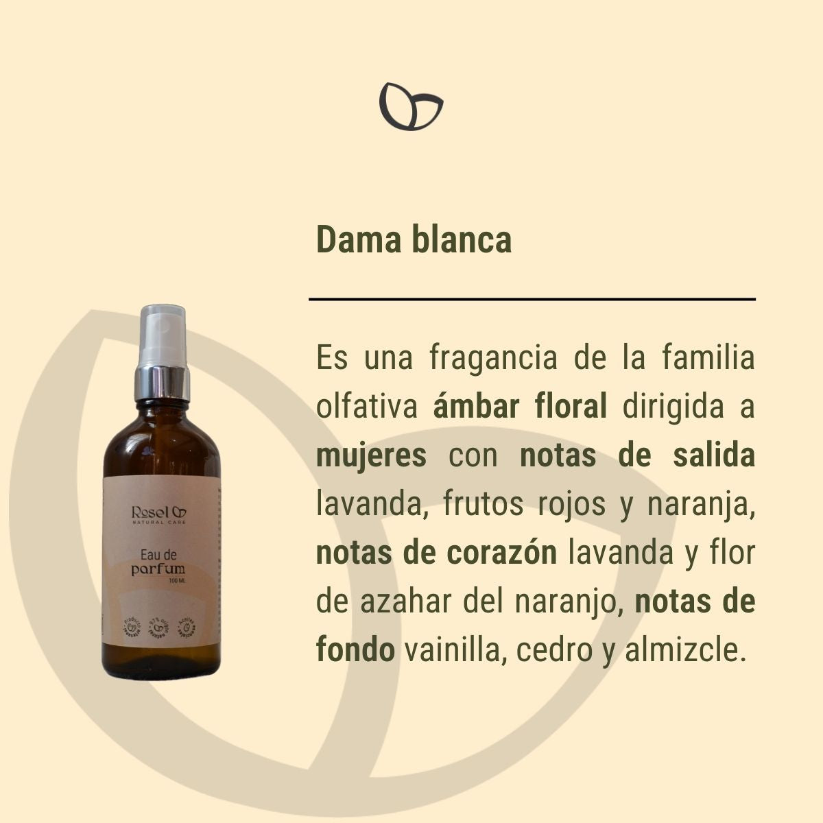 Discovery set 3 aguas de perfume 10ml cada una