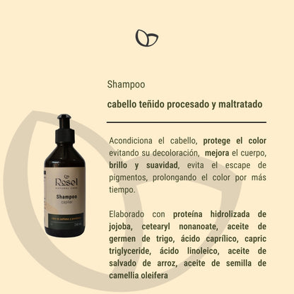Shampoo cabello teñido, procesado y maltratado 240ml