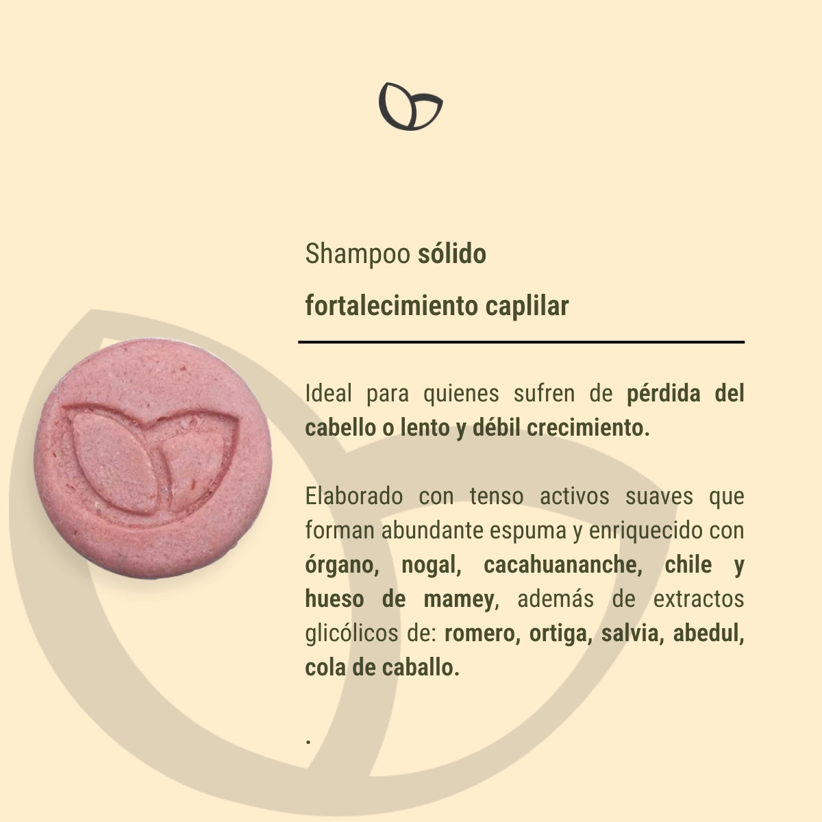 Shampoo sólido fortalecimiento capilar (100 grs)